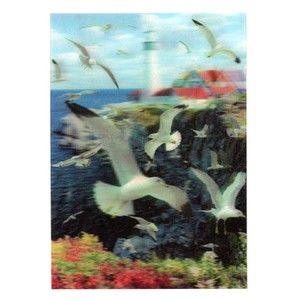 Seagull Ocean Light House Shifting Motion 3d Print Photo 5" x 7" Lenticular Bird